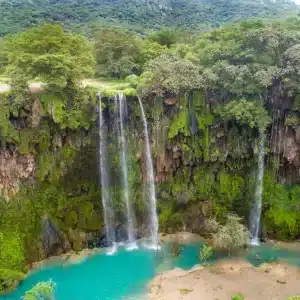 Tour di più giorni in Oman tra deserti, montagne e città costiere