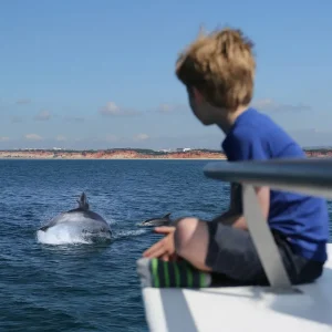 Dolphin Watching Boat Trip Salalah Oman