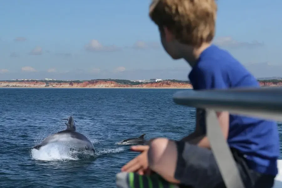 Scenic desert and coastal landscapes from Oman tours