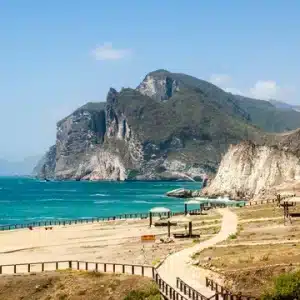 Spiaggia di Dahariz Salalah sabbia dorata e costeggiata da palme