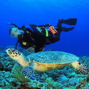 Explore the top Salalah desert safaris for thrilling dune bashing, Bedouin camps, and breathtaking Empty Quarter landscapes.