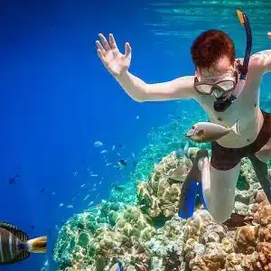 salalah snorkeling adventure in clear blue waters