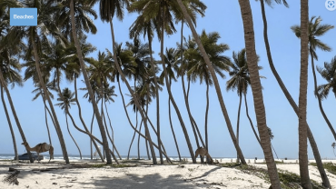 Al Haffa Beach in Salalah