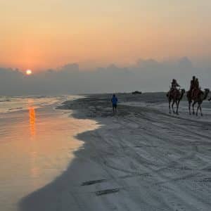 Enjoy Salalah 