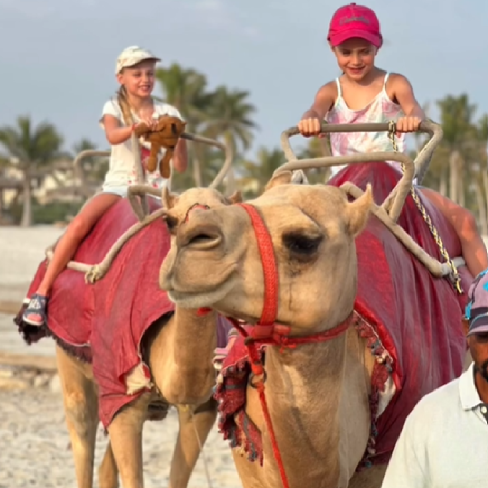 Camel Riding on Salalah Beach - salalah oman 22