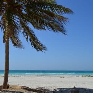Best Salalah things to do with waterfalls, beaches, and lush valleys