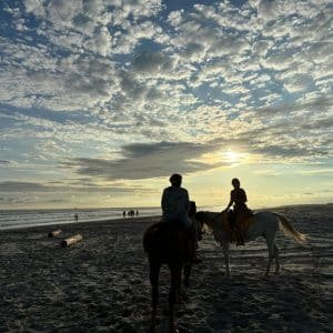 Horse riding on Salalah Beach during sunset with waves and palm trees