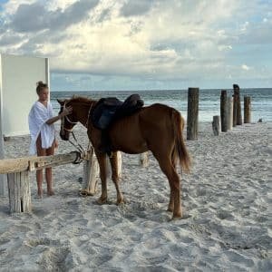 Horse riding on Salalah Beach during sunset with waves and palm trees