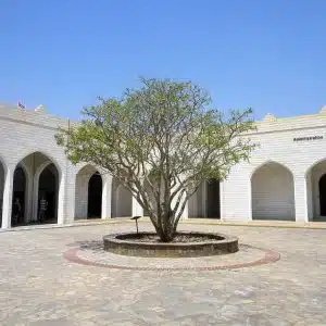 Museum Frankincense Land Salalah guide interior with ancient Omani artifacts