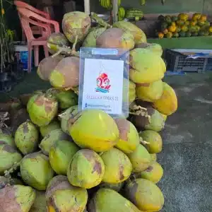 Salalah Evening City Tour