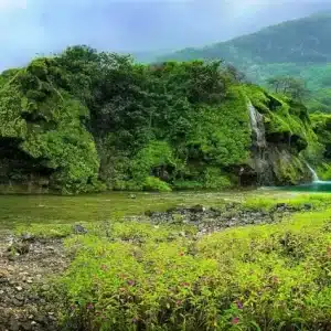top tour guide office Salalah Oman