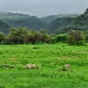 Dhofar Mountains