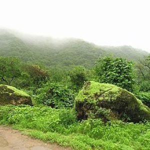 Dhofar Mountains