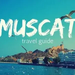 Muscat to Salalah tour package