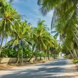 Salalah Dhofar