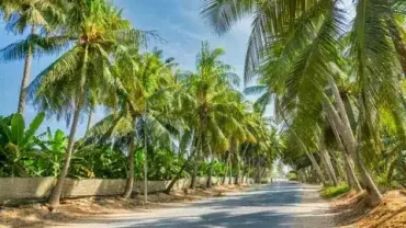 historie Salalah Omán