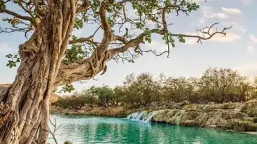 Salalah Oman natural beauty