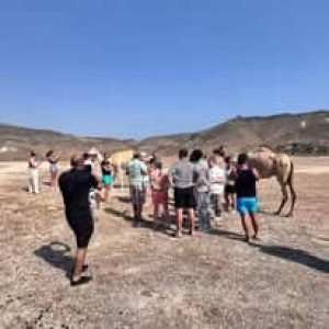 Salalah Oman holidays