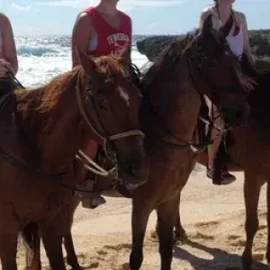 horseback riding tours Salalah Oman