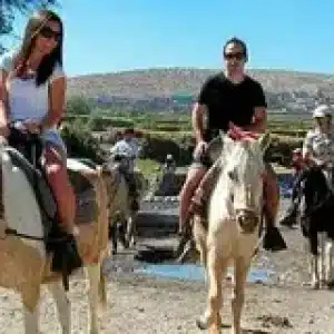 horse riding day experience Salalah Oman