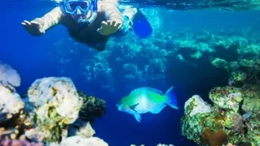 snorkeling in Salalah Oman