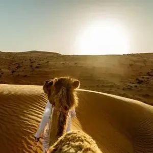 Best tours in Oman